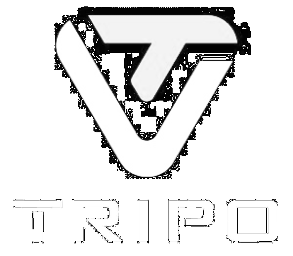Tripo3D